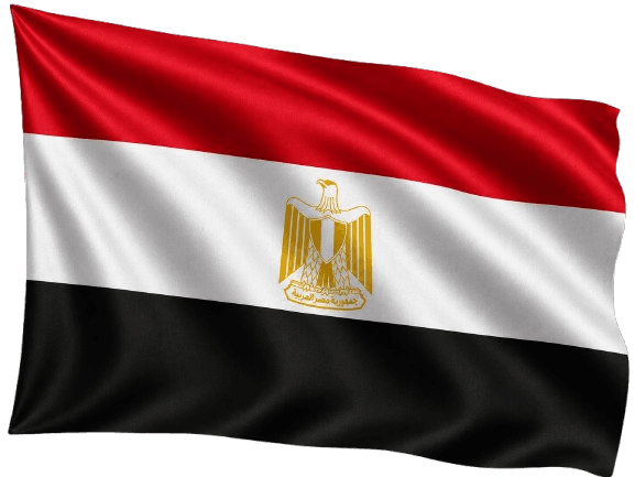 Amazon Agency Egypt providing seller account setup, listing optimization, PPC management, and marketplace growth services