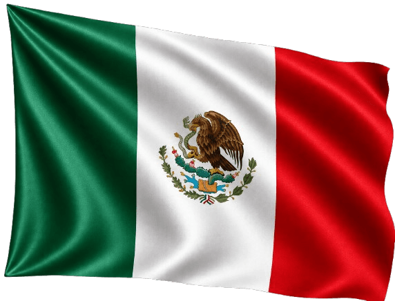 Amazon Agency Mexico providing seller account setup, listing optimization, PPC management, and marketplace growth services