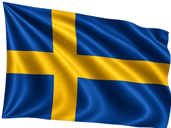 Amazon Agency Sweden providing seller account setup, listing optimization, PPC management, and marketplace growth services
